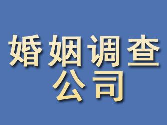 卧龙婚姻调查公司